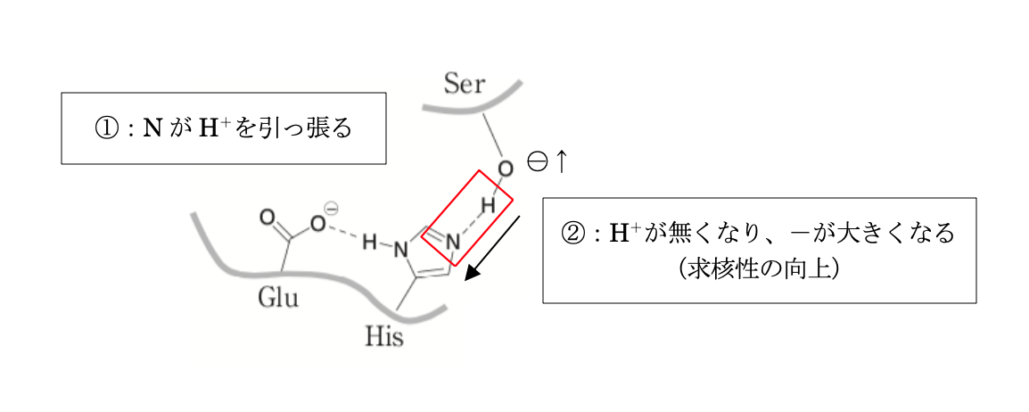 解説画像